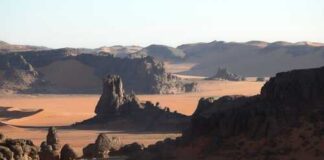 Tragic Incident in Algeria: Tourist Safety and Extremism Concerns Arise