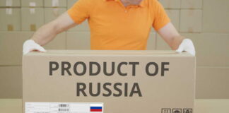 How SMEs Shape Russia’s Economy Amidst Global Challenges and Sanctions