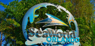 Sign for SeaWorld Orlando featuring a dolphin and wave design
