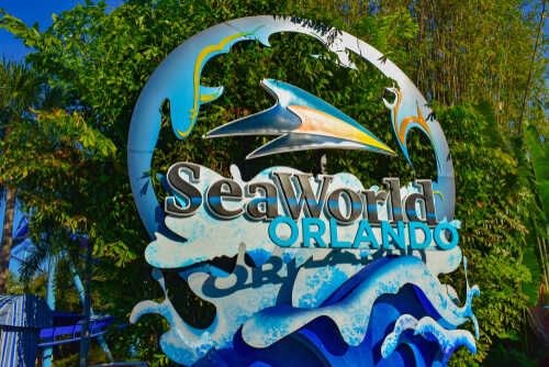 shutterstock_1336023176.jpg Sign for SeaWorld Orlando featuring a dolphin and wave design