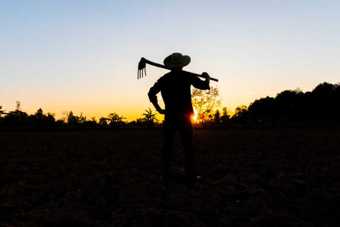 shutterstock_1240603315.jpg Silhouette of a farmer holding a hoe against a sunset