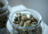 Glass jar filled with cannabis buds