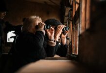 Two individuals using binoculars to observe nature through a window