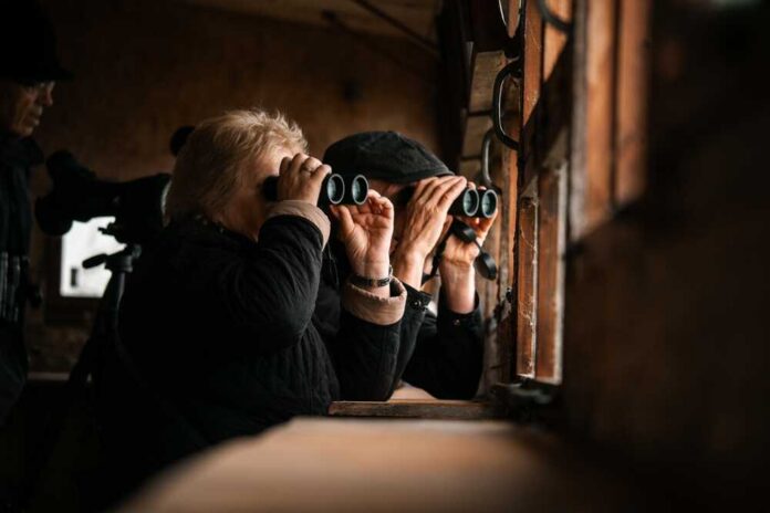 shutterstock_2537362705.jpg Two individuals using binoculars to observe nature through a window