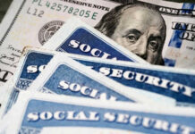 Social security cards with one hundred dollar bill