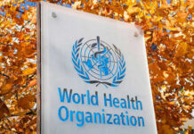 Weak Borders, Deadly Outbreak: Ebola Escalates World Health Organization sign with autumn leaves background