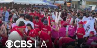 South Korea fans celebrate national team's FIFA World Cup win