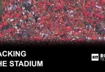 World Cup crowds pack Dallas for Netherlands-Japan draw
