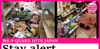 M6.9 quake jolts northern Japan, no tsunami issue warning