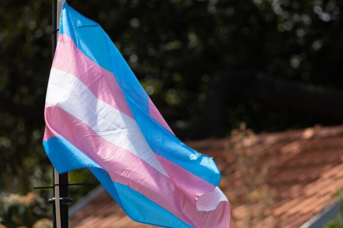 A,Transgender,Flag,Outdoors,At,The,Pride,Month Transgender pride flag waving in the breeze