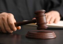 Tax Dragnet Snags Comedian — First Big Test A judge's hand holding a gavel above a wooden block