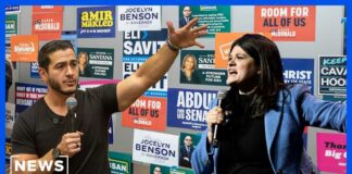 Progressive vs. moderate: Democrats battle over party’s direction in key Michigan Senate race