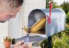 man checking mail in an open curbside mailbox