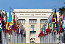 UN Credibility Crisis: Milei Torches ‘Useless’ Elites United Nations building with numerous national flags outside.