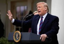 High-Stakes Dinner: What Trump Really Signaled Donald Trump speaking at a podium outdoors