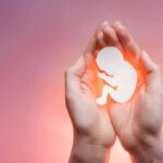 hands cupping a fetal silhouette on pink background