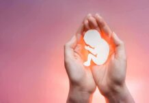 Election Gambit: Abortion Pill Showdown Delayed hands cupping a fetal silhouette on pink background
