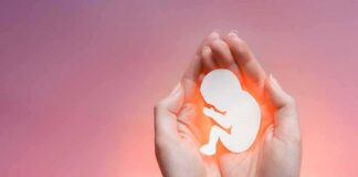 hands cupping a fetal silhouette on pink background