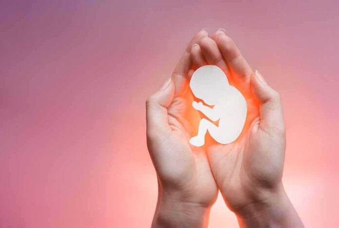 shutterstock_1285139242 hands cupping a fetal silhouette on pink background