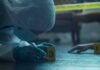 Pregnant Girlfriend Poisoned — Deadly Plot Exposed forensic investigator in protective suit examining crime scene markers