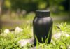 Cremation Paid – Anonymous Money Shadows Trump Shooter Black urn placed on greenery outdoors