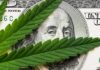 cannabis leaf over US dollar bill