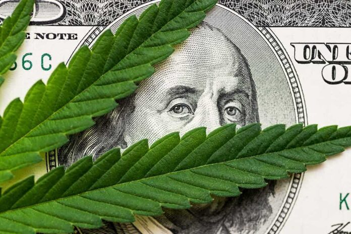 shutterstock_1441305854 cannabis leaf over US dollar bill